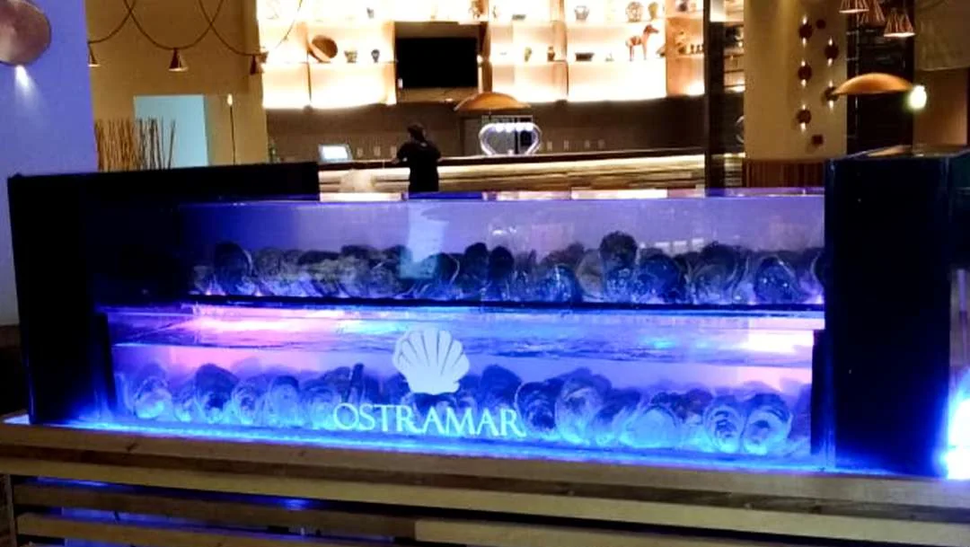 Aquário de ostras instalado em estabelecimento