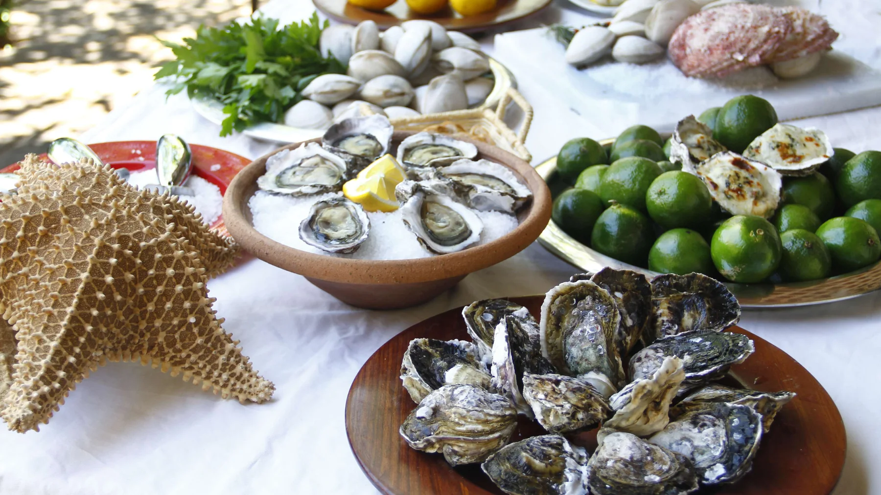 Seleção de ostras e frutos do mar